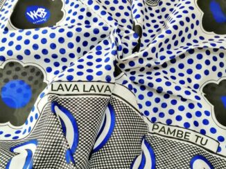 Lava Lava – Pambe Tu