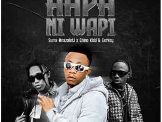 Suma Mnazaleti ft Chino Kidd & Gerkey – Hapa Ni Wapi