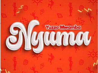 Yuzzo Mwamba – Nyuma