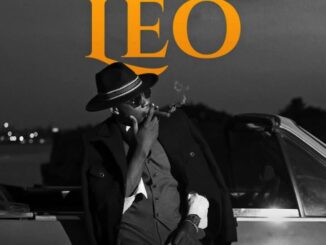 MingoClassic – Leo