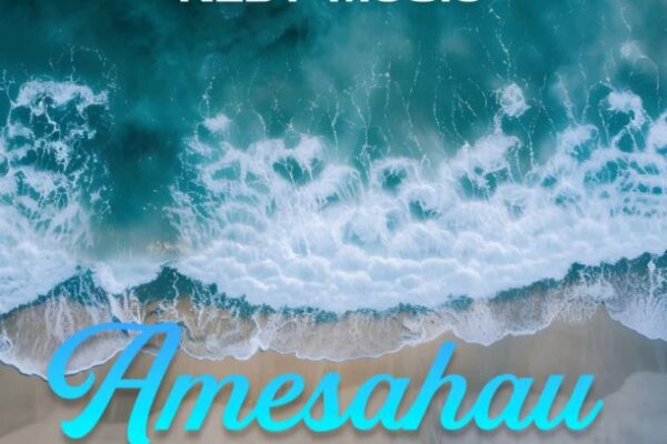 Nedy Music – Amesahau