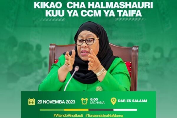 ccm chama cha mapinduzi