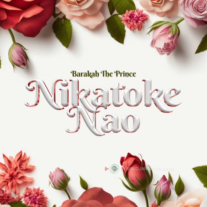 Barakah The Prince – Nikatoke Nao