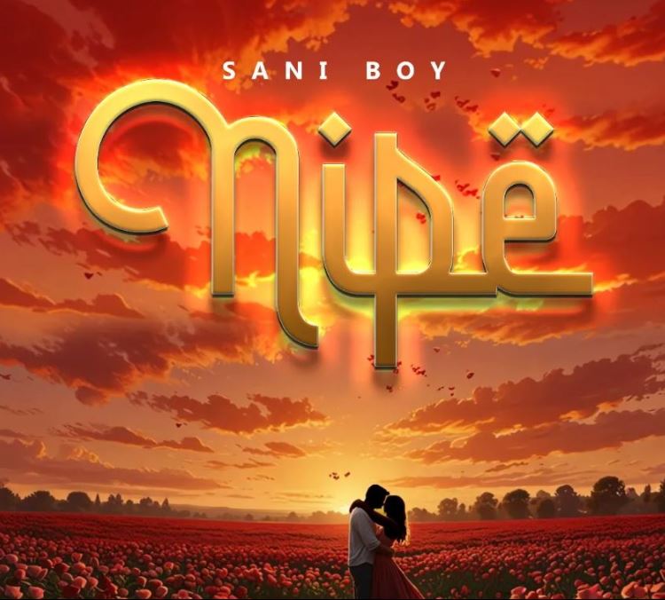 Sani Boy – Nipe