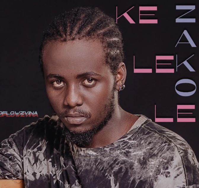 Dflowz Vina – Kelele Zako