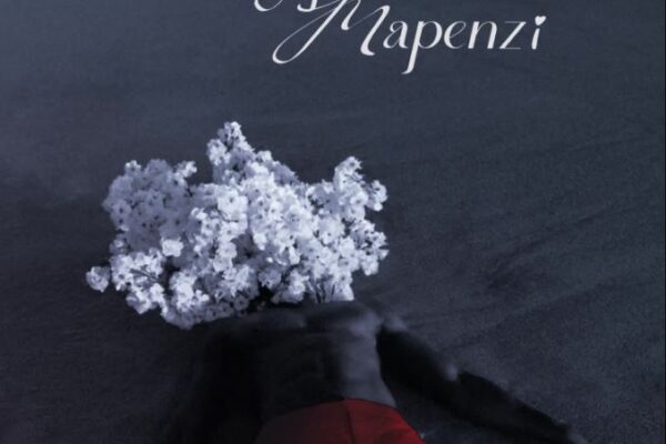 Jaivah Ft. Cloudy Sa, Kapipo Beats – Naogopa Mapenzi